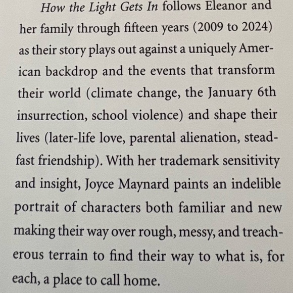 Good read! Great gift! “How the Light Gets In” by Joyce Maynard (her latest) - Picture 6 of 7